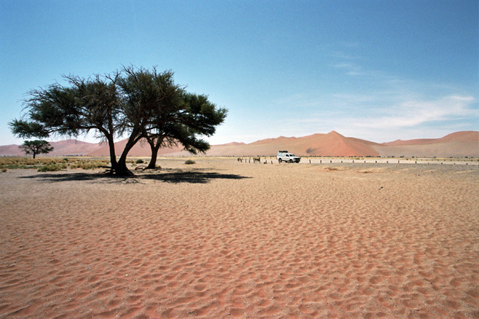 South African Grasslands