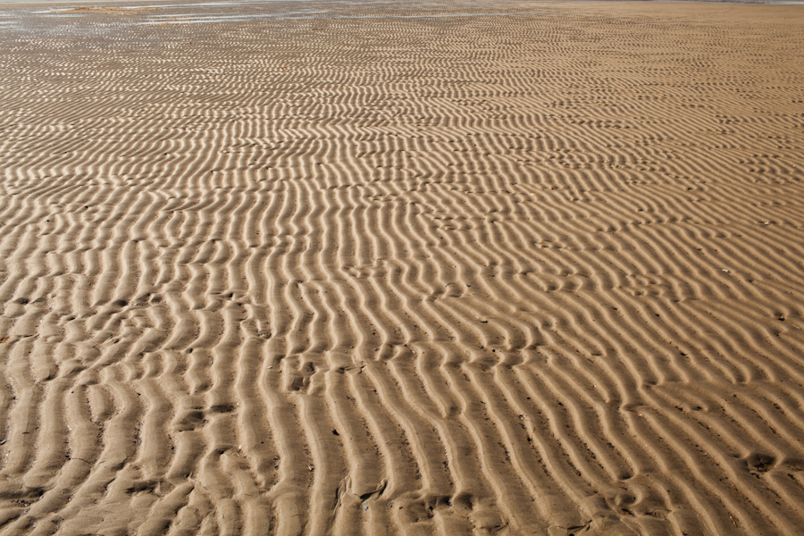 Plum Island, MA.