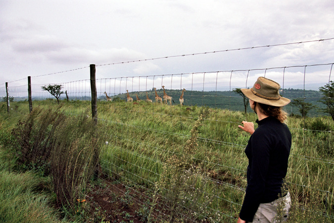 South African Grasslands