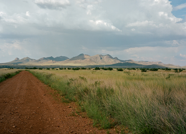 North American Grasslands