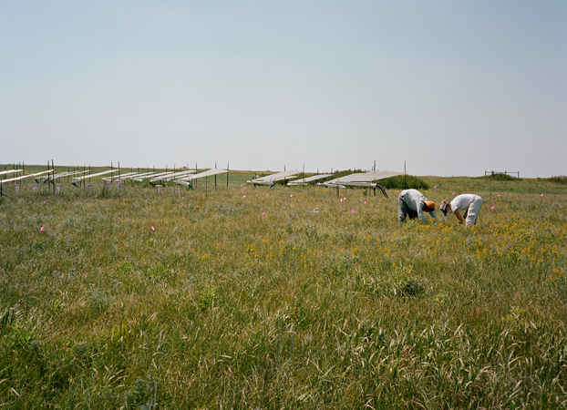 North American Grasslands