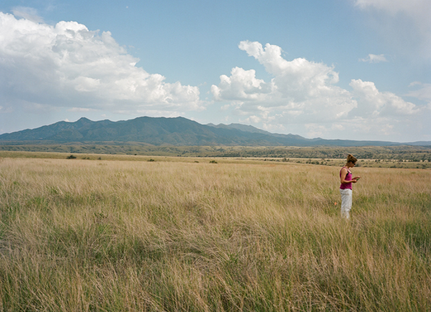 North American Grasslands