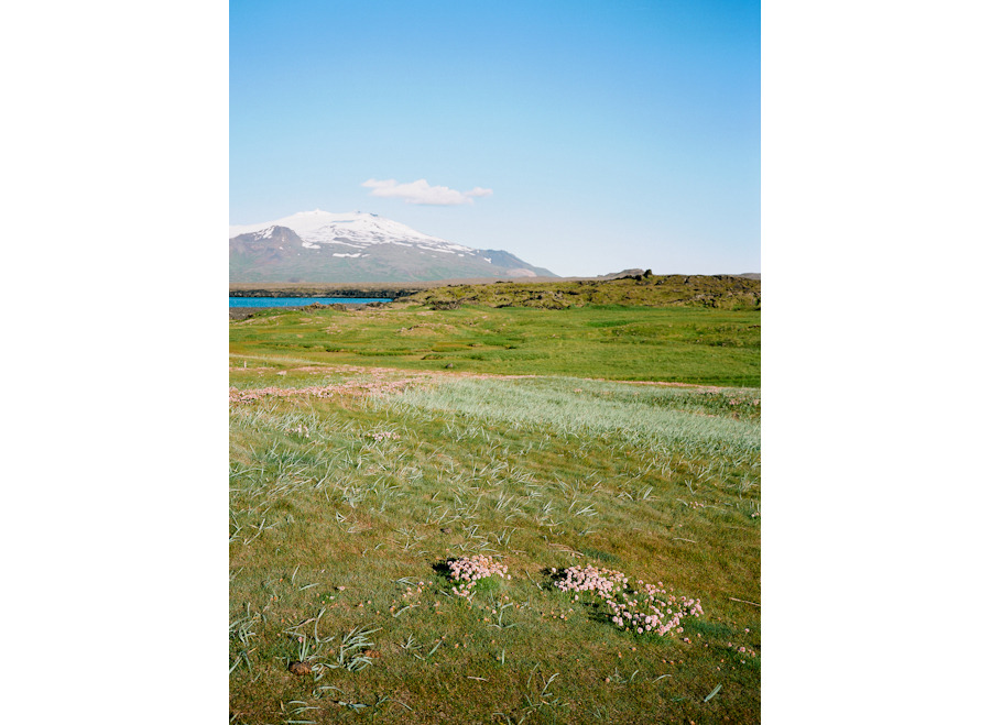 Iceland Film